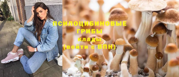 прущие крисы Алексин