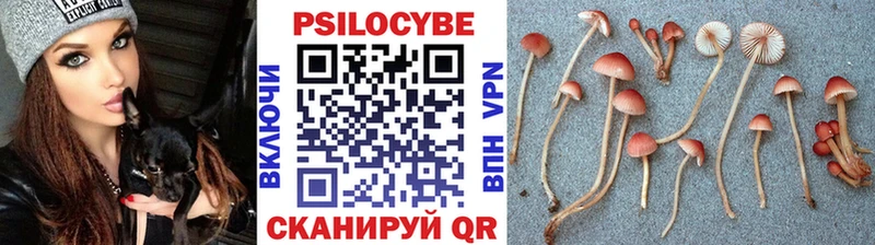 как найти закладки  блэк спрут ССЫЛКА  Галлюциногенные грибы Psilocybe  Богородск 